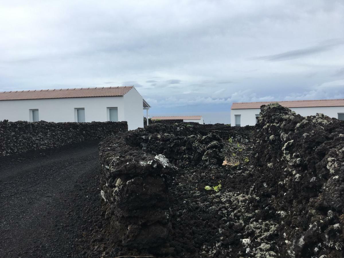 Insula Vinus Apartments Madalena  Eksteriør bilde